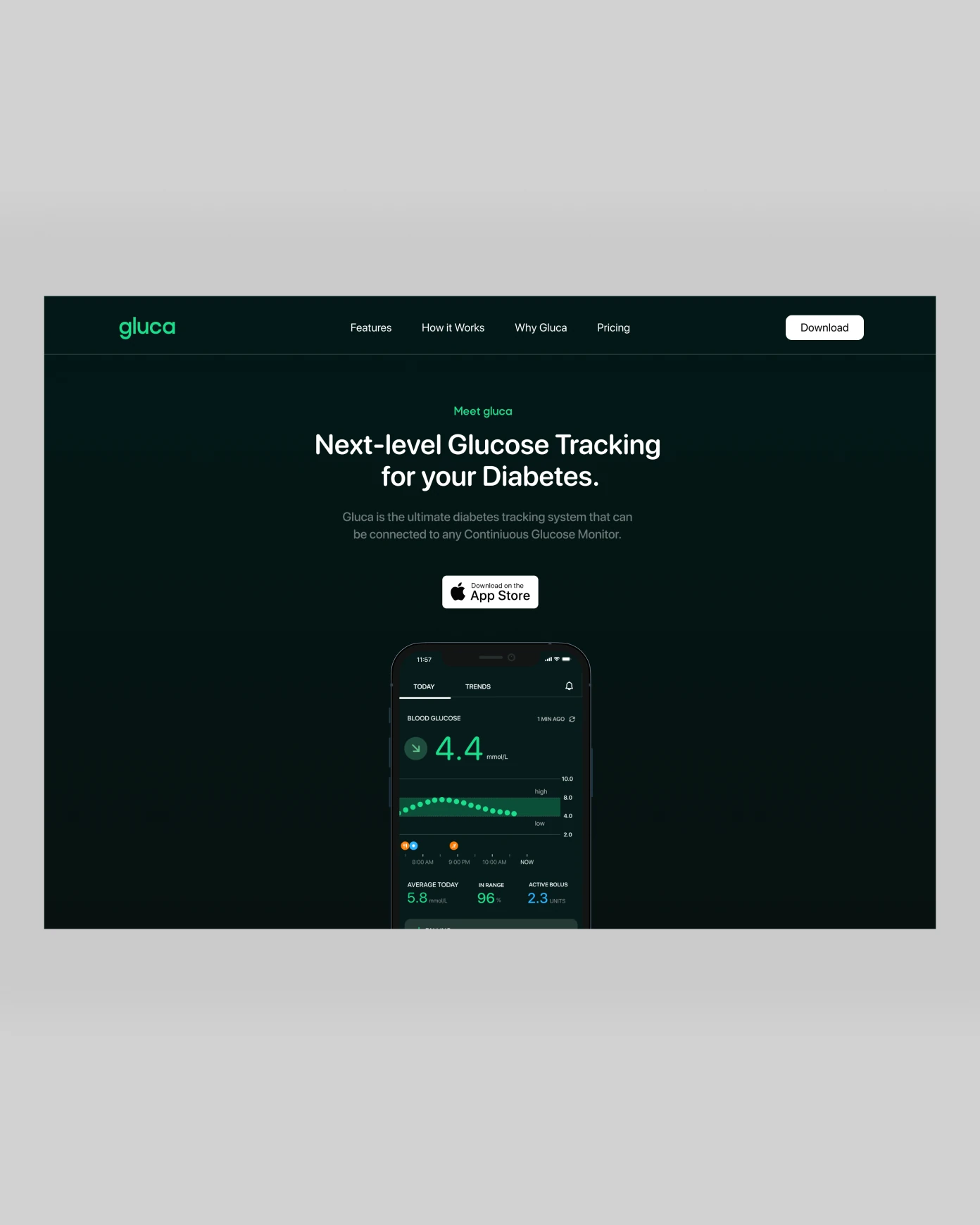 Gluca website showcasing glucose tracking and the mobile app on a gray background.